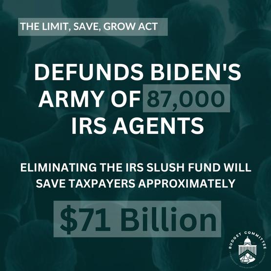 Image For Defund Biden's IRS Army